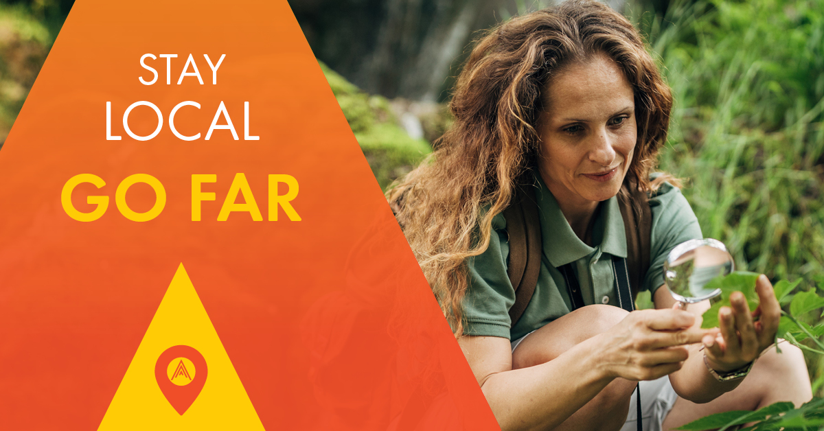 Person with magnifying glass inspecting a leaf