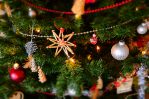 Staying healthy at Christmas | Activate Learning